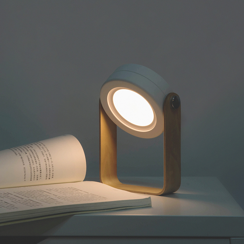 LED Lantern Lights